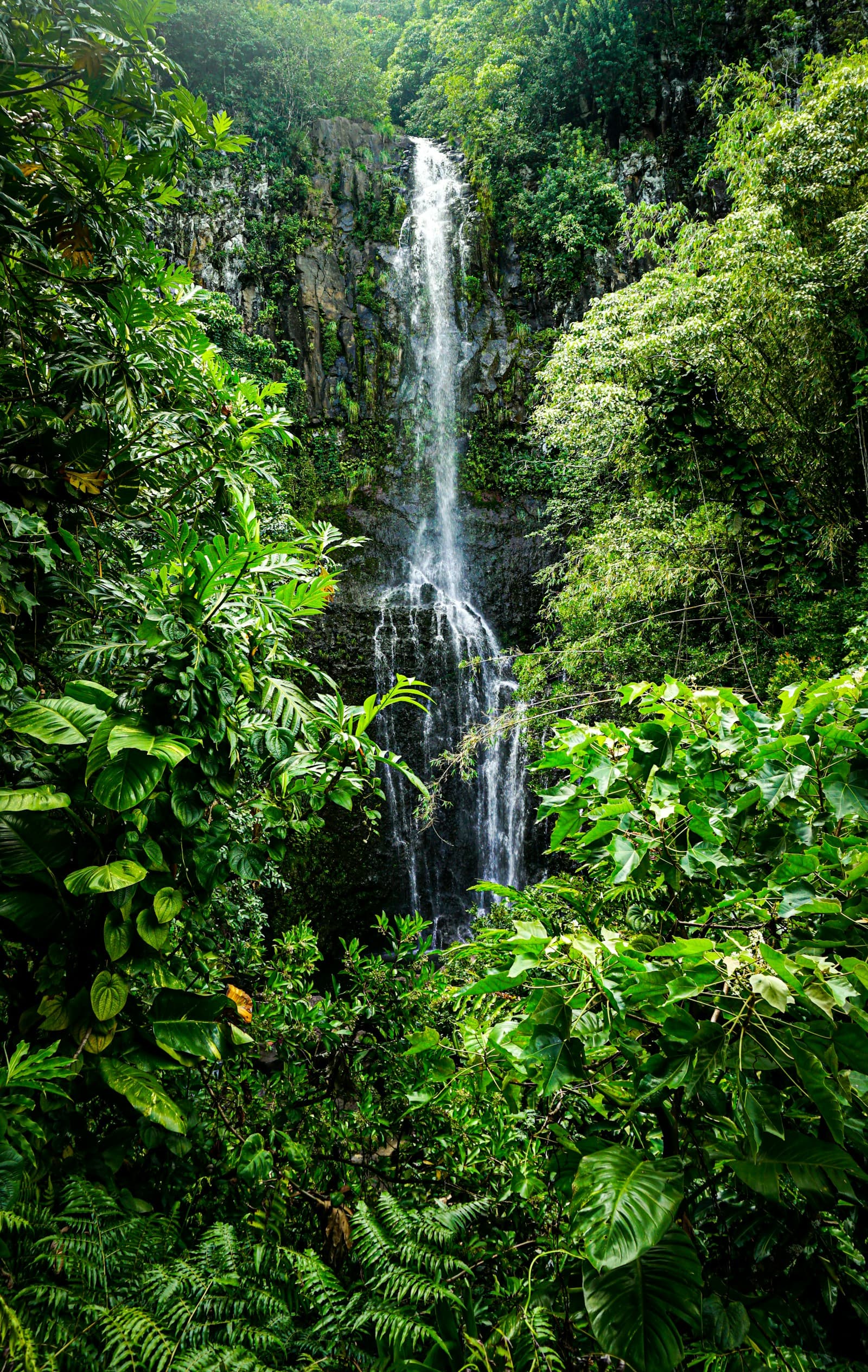 Spiritual Retreat in Sao Tome and Principe: 10 Days at the Spring Equinox, Flights Included (4)