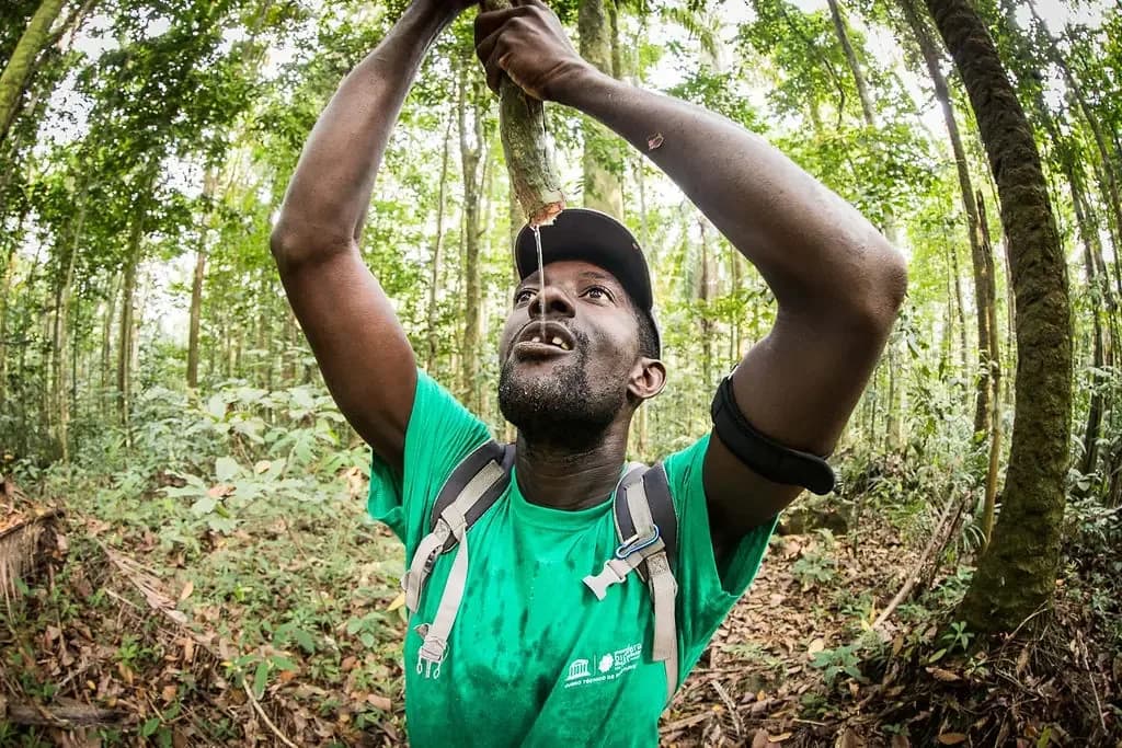 Voyage organisé à Sao Tomé-et-Principe ou en indépendant : le comparatif honnête