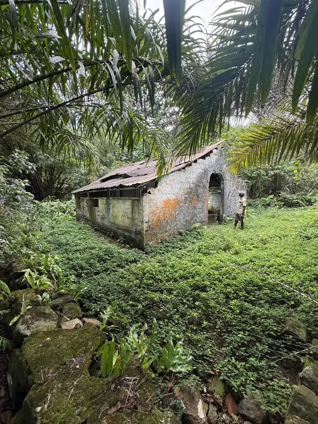 Spiritual Retreat in Sao Tome and Principe: 10 Days at the Spring Equinox, Flights Included (3)
