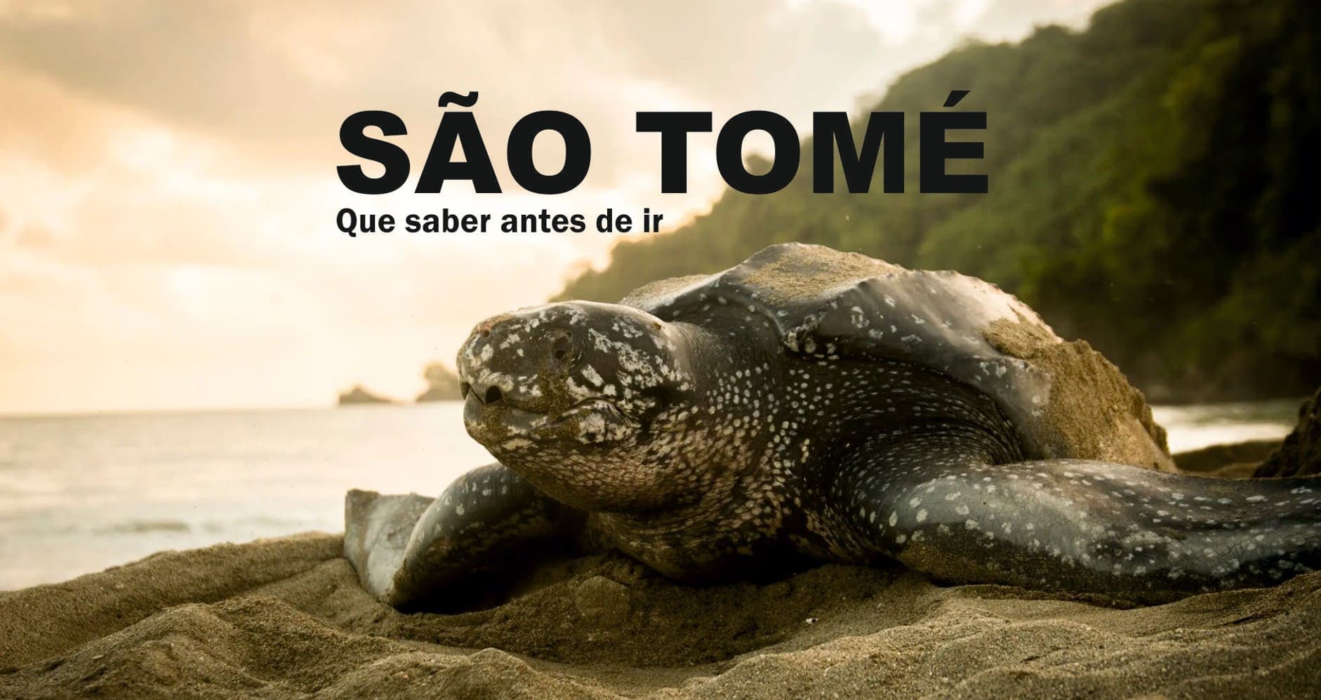 Frequently Asked Questions about São Tomé and Príncipe: Everything You Need to Know