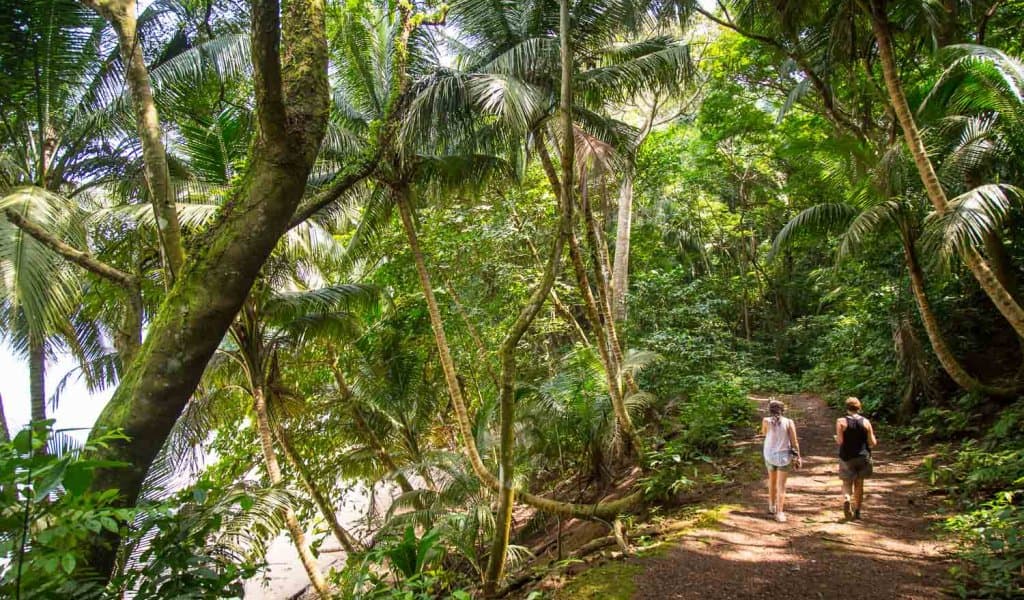Trekking em São Tomé e Príncipe: 9 Dias