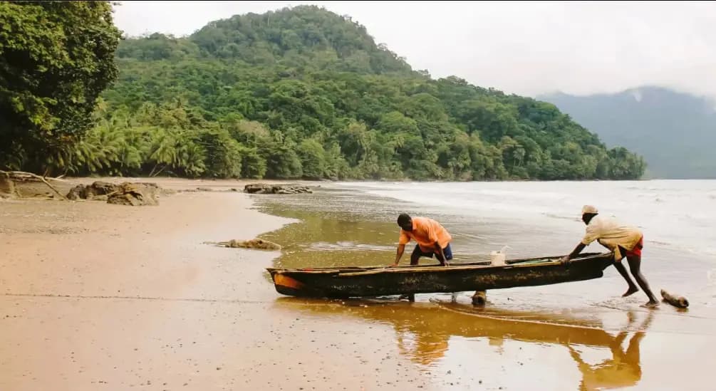 São Tomé de Lés a Lés: 11 Dias
