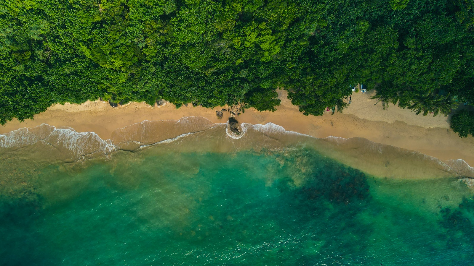 Viagem São Tomé 8 dias