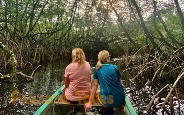 Qual é a melhor época para visitar São Tomé?